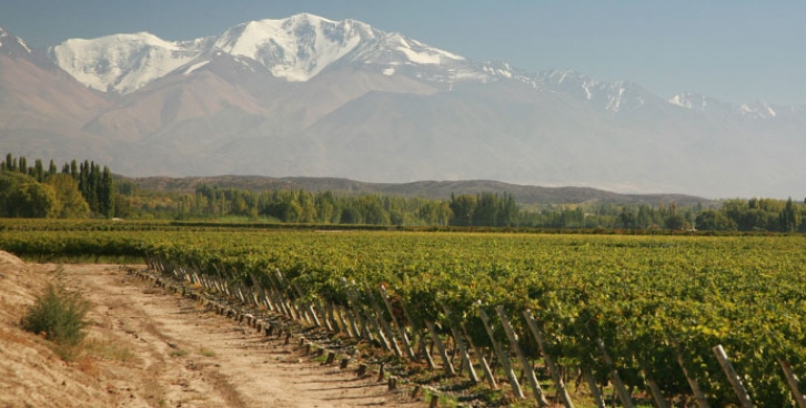 Mendoza: il vino unisce il mondo